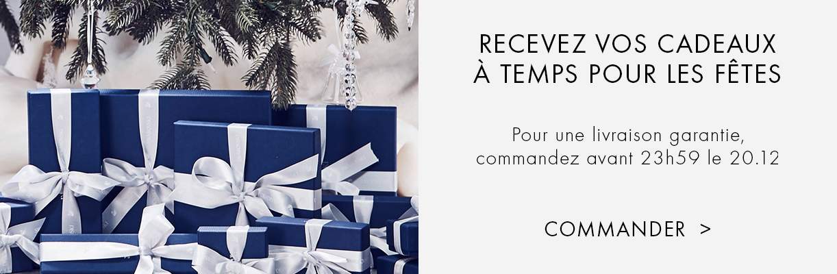 Recevez vos cadeaux à temps pour Noël