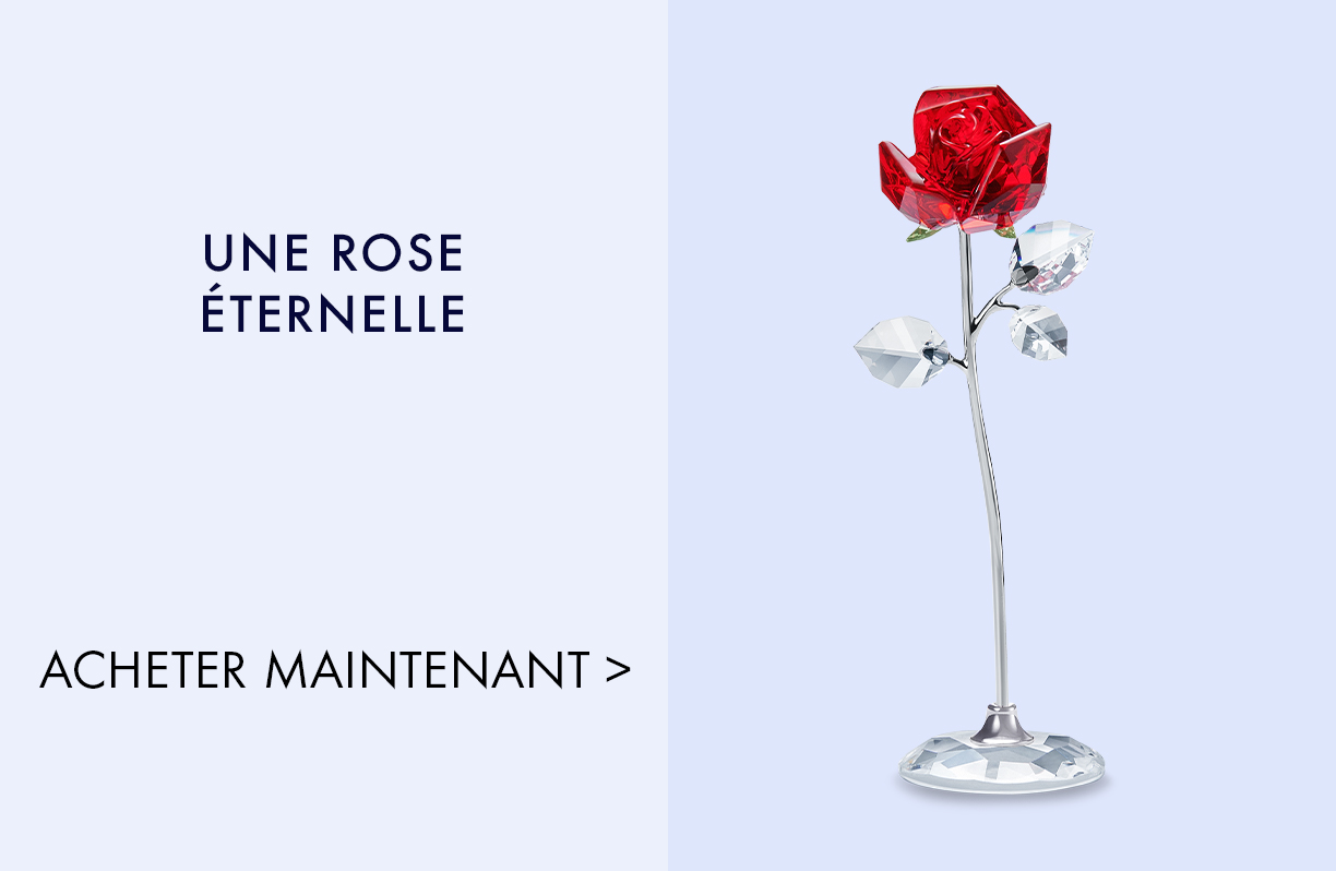 Une rose éternelle